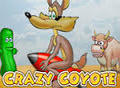 Crazy Coyote