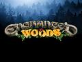 Enchanted Woods