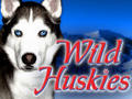 Wild Huskies